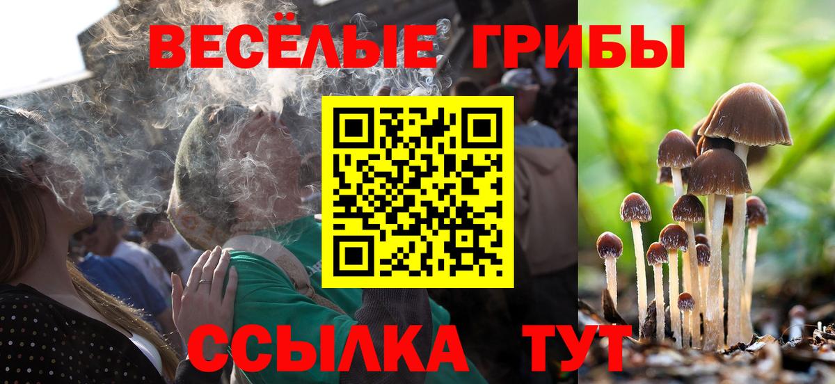 купить   Вход с VPN  Малгобек  Галлюциногенные грибы Psilocybe  Псилоцибиновые грибы мицелий 